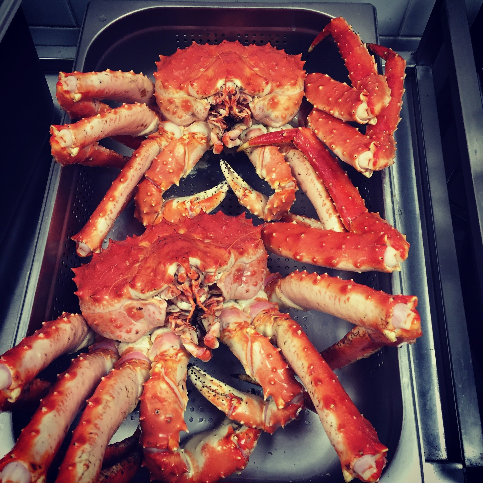 Краб Камчатский 1 фаланга