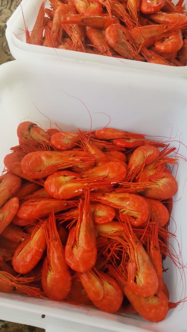 Креветка Чилим