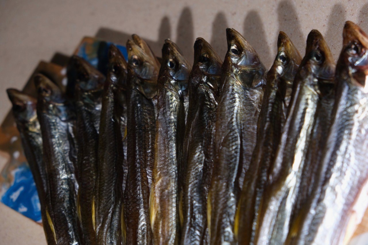 Корюшка Сахалинская